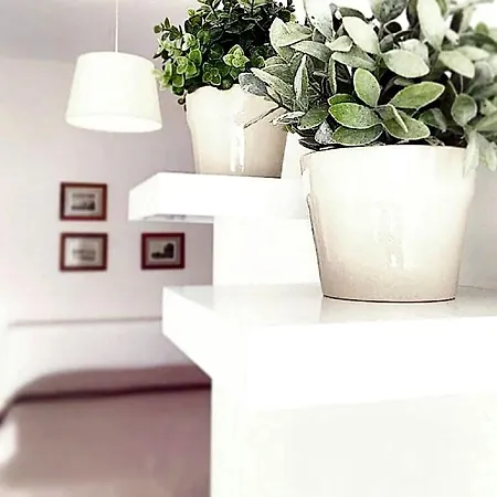 Bed & Breakfast La Gallipoli