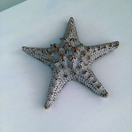 Bed & Breakfast La Gallipoli