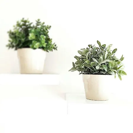 Frühstückspension La