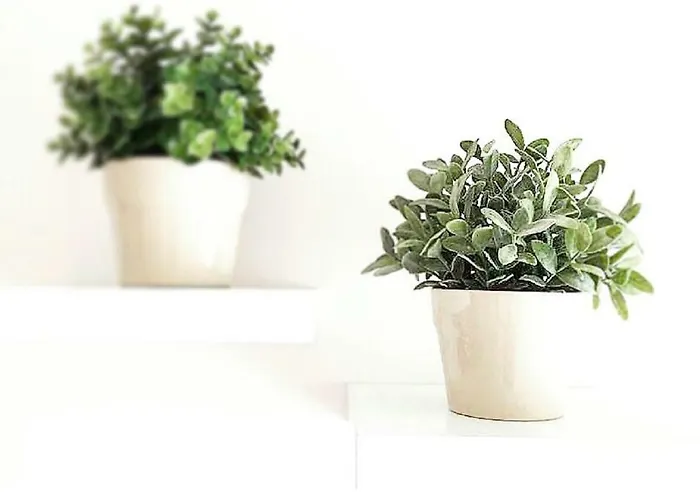 לינה וארוחת בוקר La